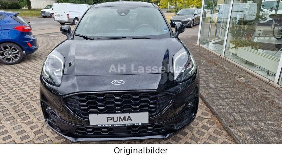 Puma