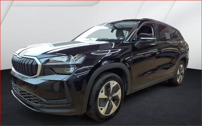 Skoda Kodiaq 33.560 km 45.980 &euro; Hünxe 46569