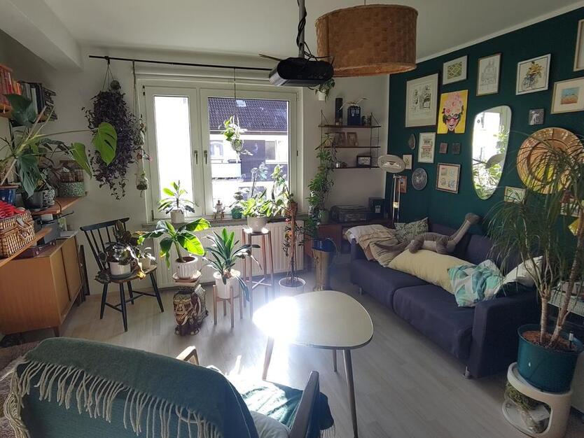 Wohnung ab 0126 bis 0626 im Alsenviertel vollmöbliert zimmer