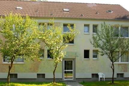 Wohnung zum Mieten in Recklinghausen 210,21 € 51.28 m²