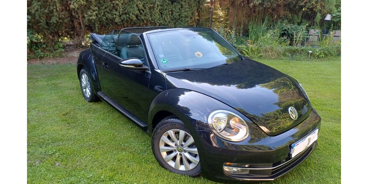 VW Beetle 71.500 km 14.300 &euro; Essen 45359