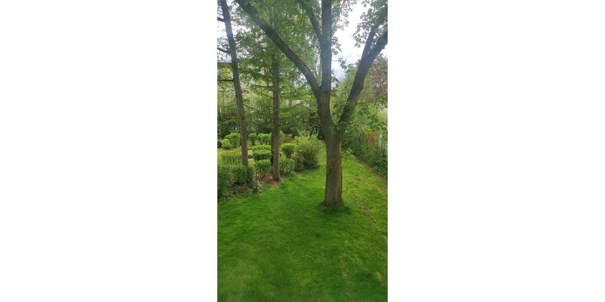 1 ZKDBB, Bochum-Ehrenfeld (Südinnenstadt) 1 zimmer