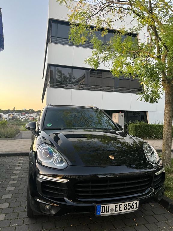 Cayenne