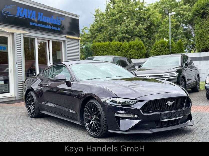 Mustang