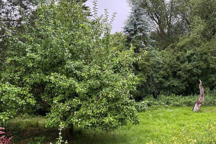 Ruhig gelegenes Baugrundstück direkt am Landschaftsschutzgebiet!