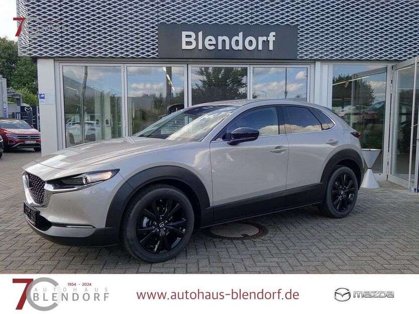 CX-30