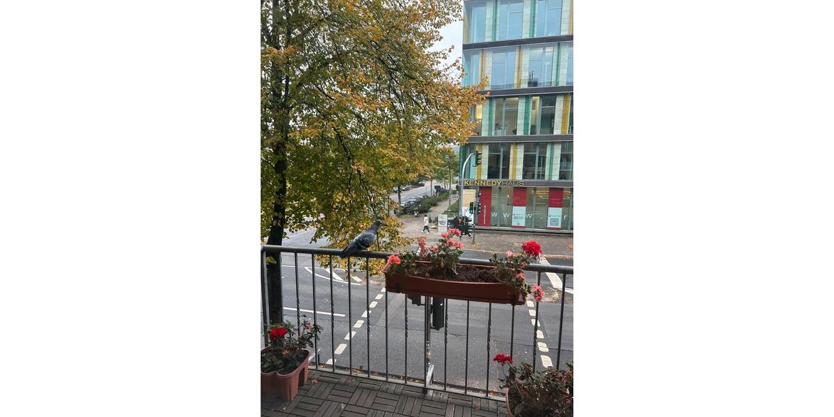 Etagenwohnung Düsseldorf Pempelfort - 2 Zimmer, 75 m&sup2;, 1.496&euro; | Angebot:26604507