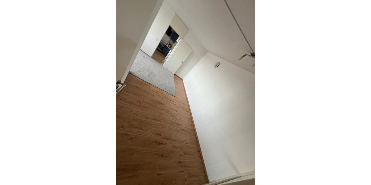 3 Zimmer Wohnung zimmer