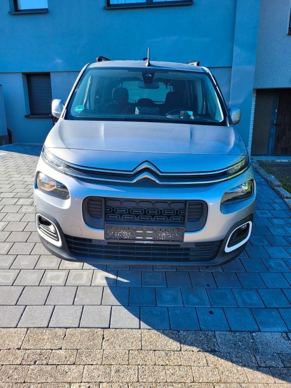 Berlingo