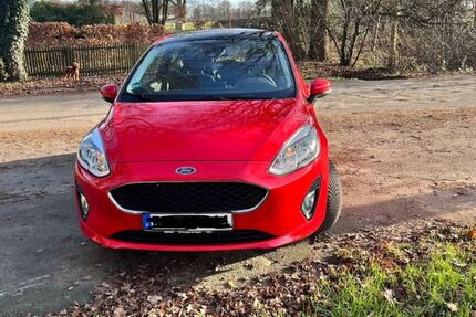 Ford Fiesta 100.100 km 8.500 &euro; Recklinghausen 45657