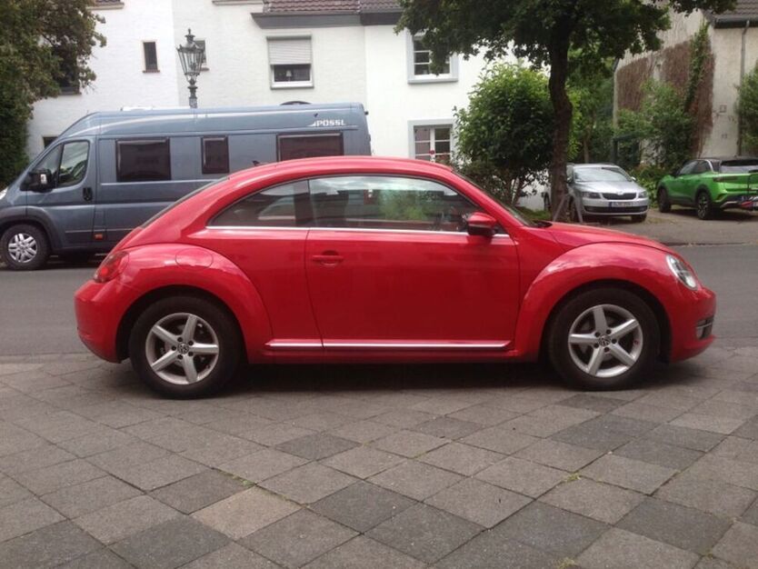 Beetle
