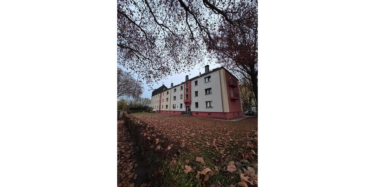 DG-WOHNUNG MIT KÜCHE ZU VERMIETEN zimmer