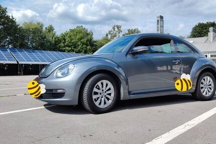 VW Beetle