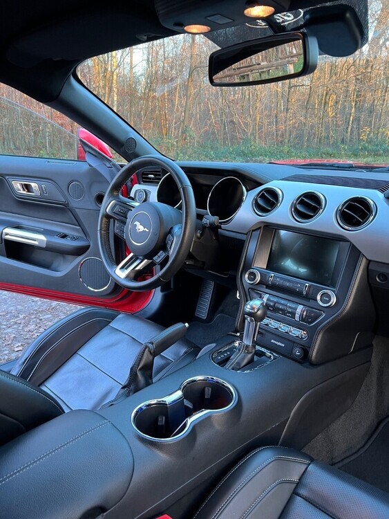 Mustang