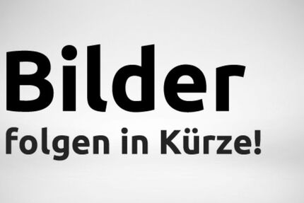 VW Caddy 205.600 km 4.000 &euro; Herne 44628