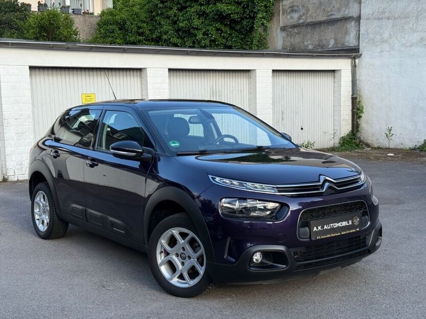 C4 Cactus