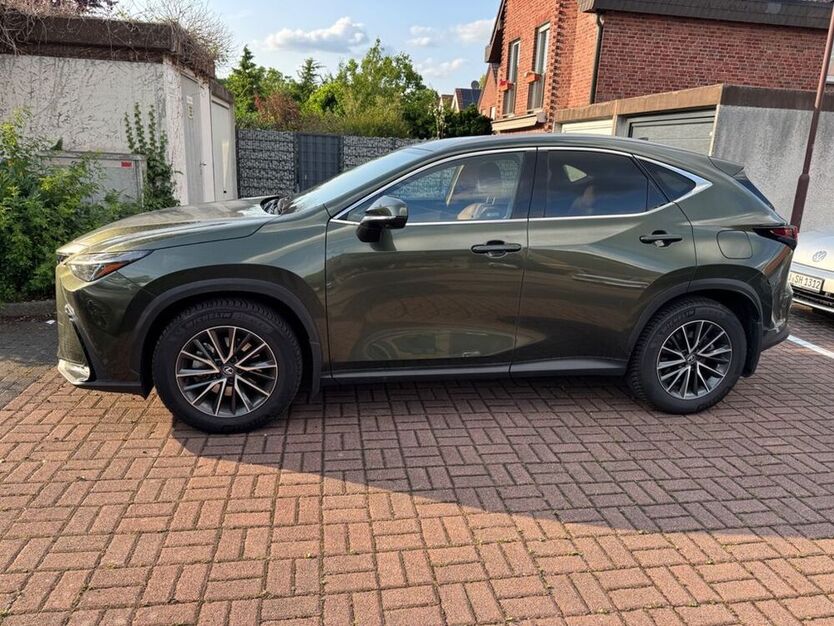 NX 350h