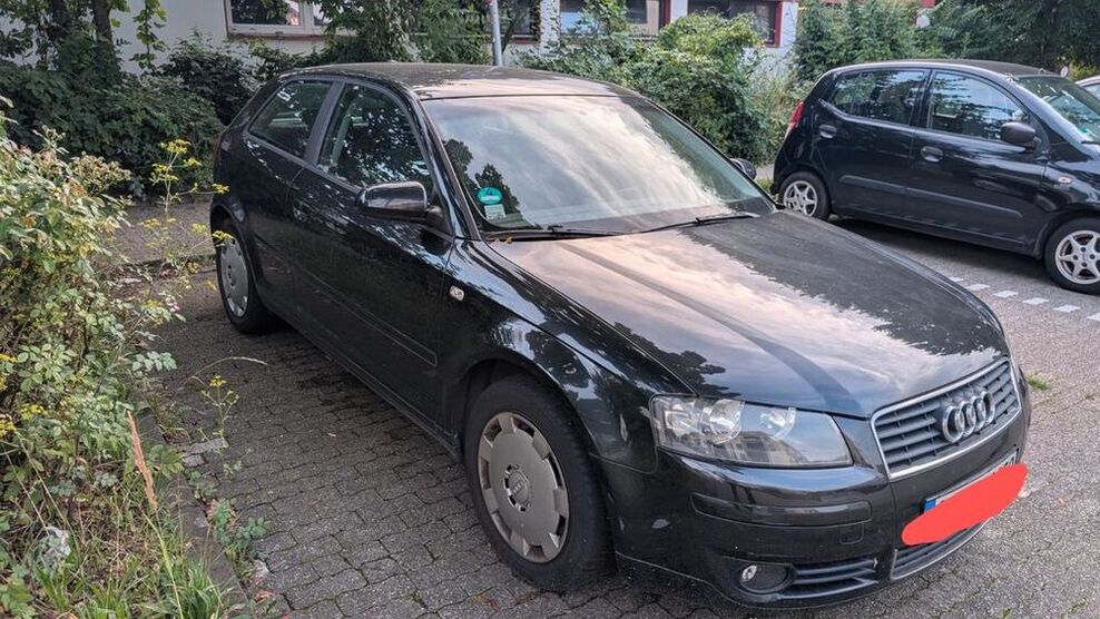 A3