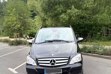 Mercedes Viano
