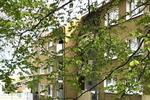 Erdgeschoßwohnung Essen Stadtbezirk VII - 3 Zimmer, 78 m&sup2;, 478&euro; | Angebot:26343762