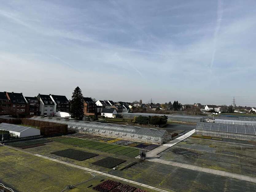 Wohnung zum Mieten in Düsseldorf 1.430 € 81.95 m² 3 zimmer