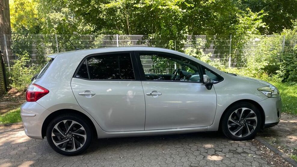 Auris