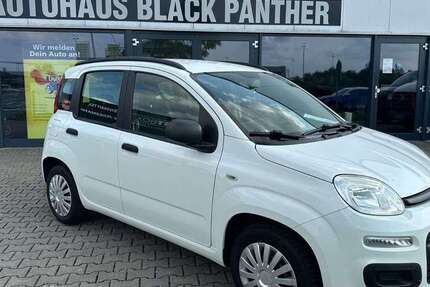 Fiat Panda 43.000 km 8.900 € Tönisvorst 47918