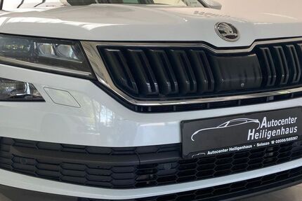 Skoda Kodiaq 172.858 km 19.980 &euro; Heiligenhaus 42579