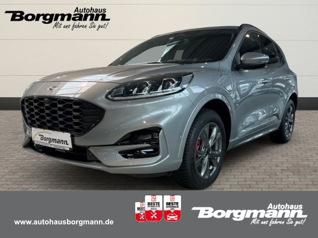 Kuga