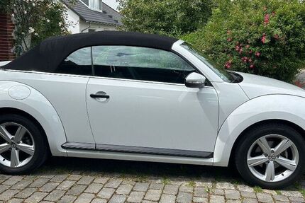VW Beetle
