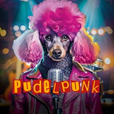 Pudelpunk Song Contest 31.12.2025 Theater Krefeld