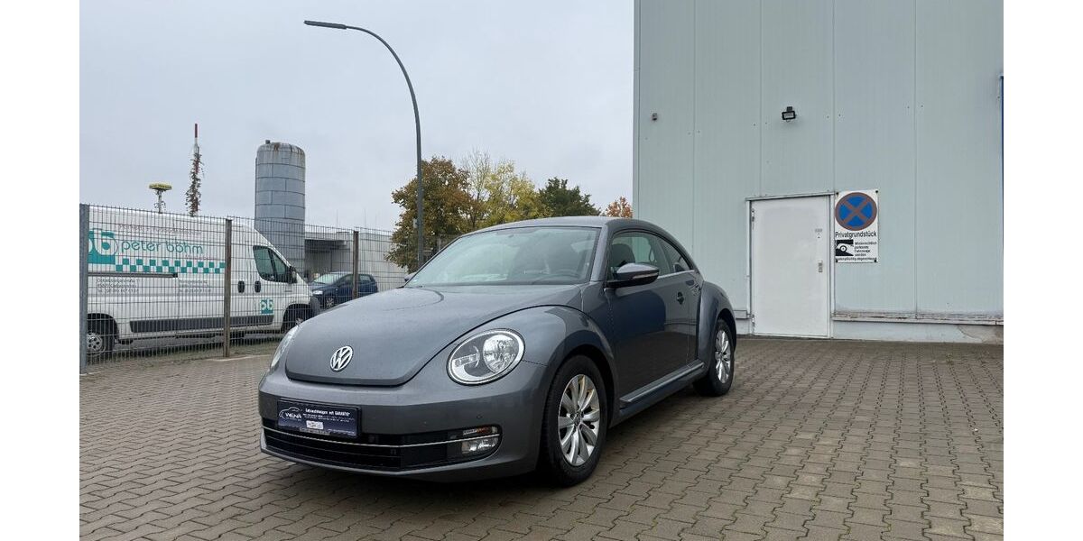 VW Beetle 144.000 km 7.999 &euro; Gelsenkirchen 45891