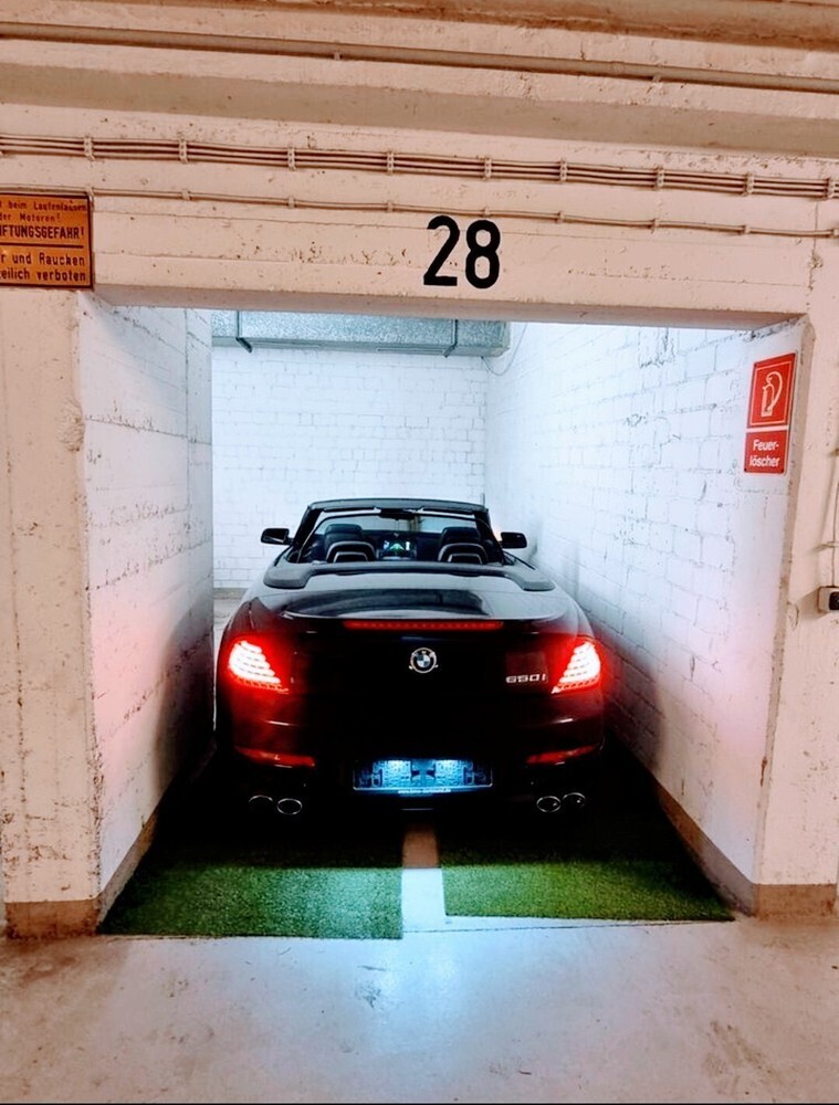 M 6