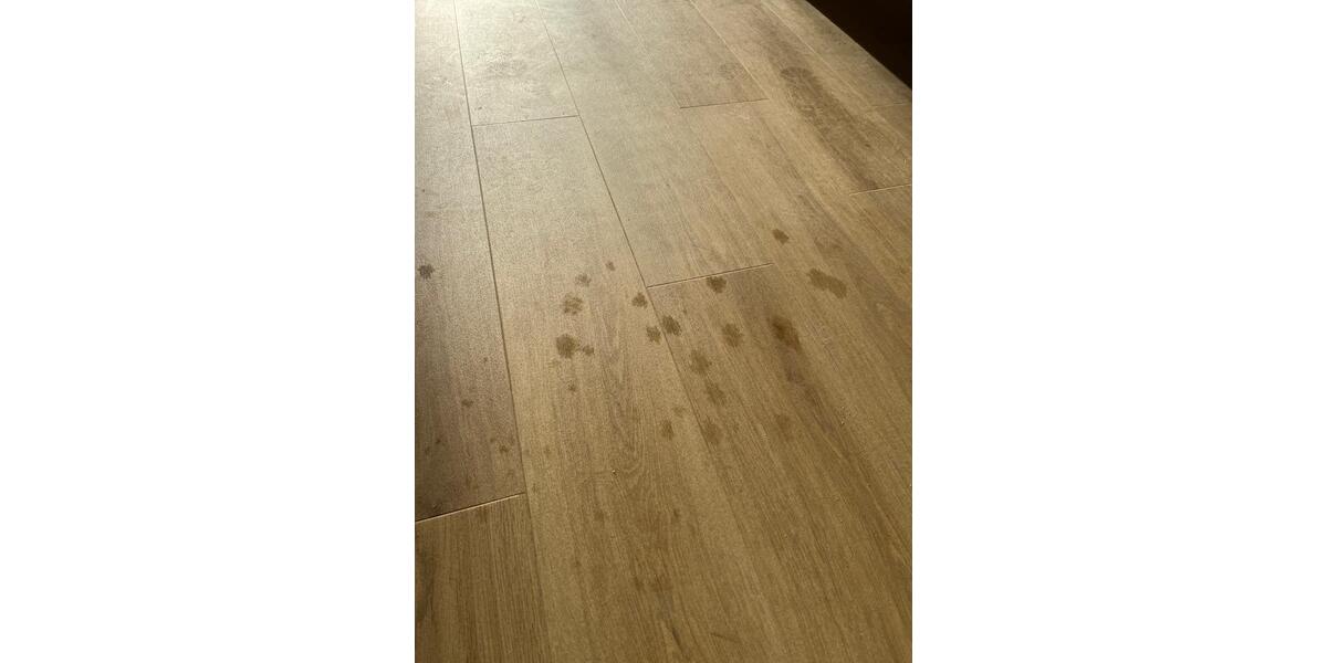 Charmante Wohnung im EG in Bochum Wiemelhausen, Hochpaterre 2.5 zimmer