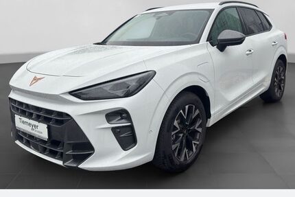 Cupra Terramar 18.480 km 38.840 &euro; Duisburg 47059