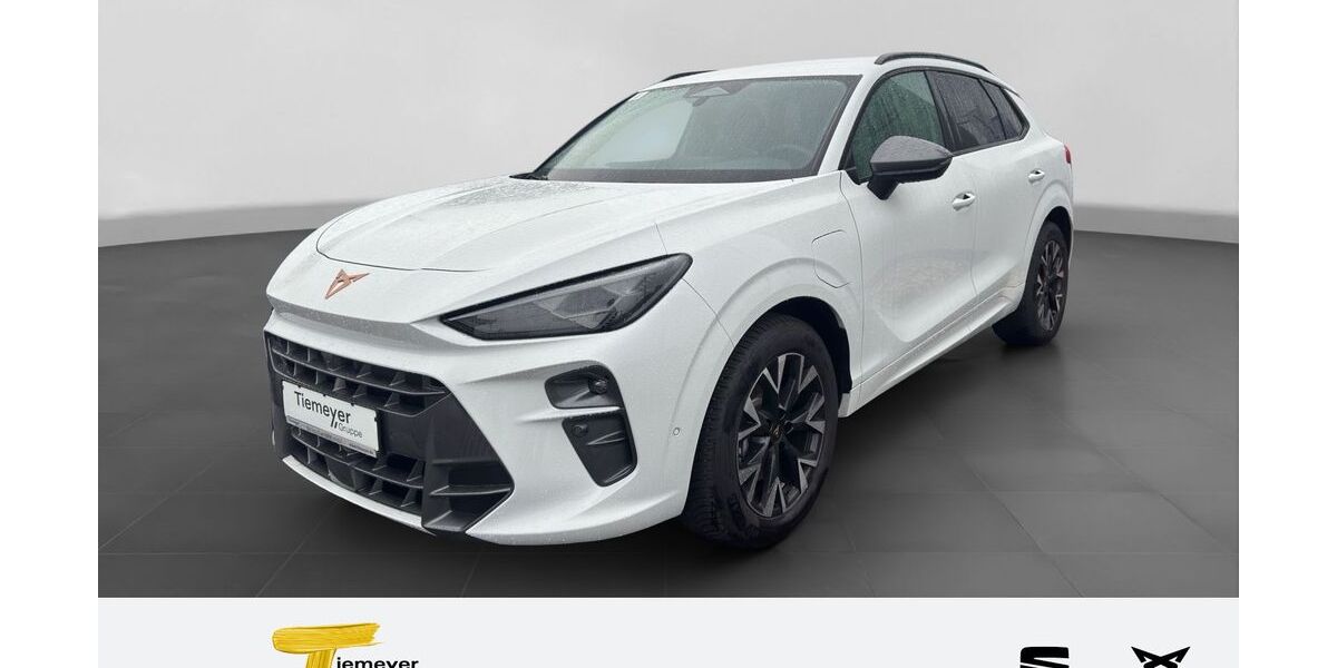 Cupra Terramar 18.480 km 38.840 &euro; Duisburg 47059