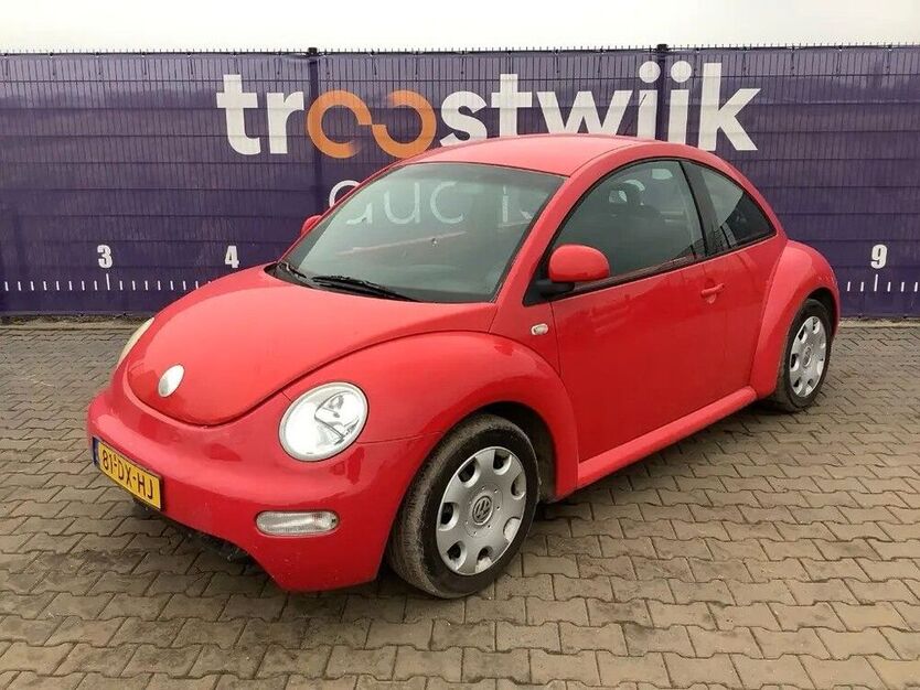 Beetle