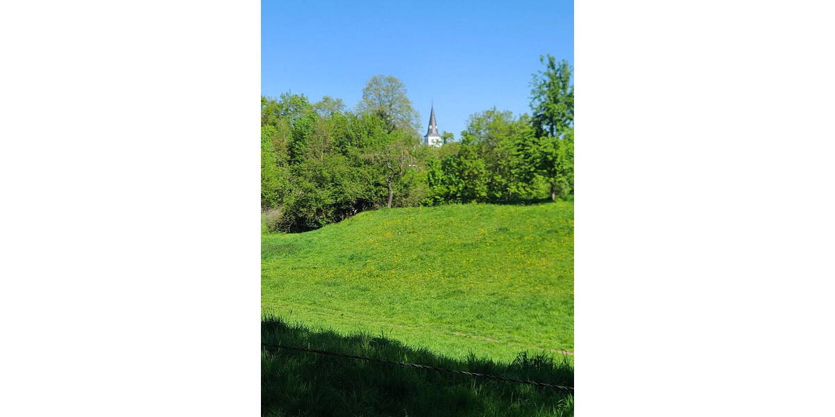 Doppelhaushälfte Rheinberg Orsoy - 7 Zimmer, 126 m&sup2;, 350.000&euro; | Angebot:25781574