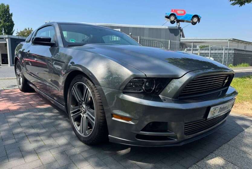 Mustang