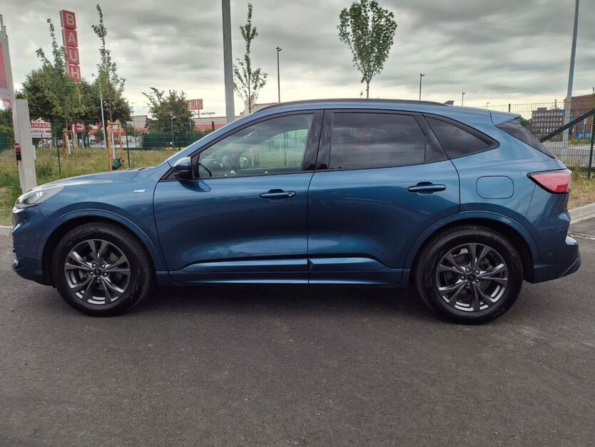 Kuga