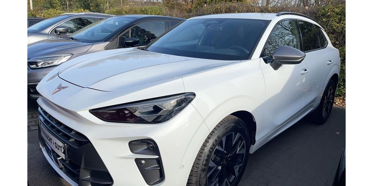 Cupra Terramar 24.540 km 32.990 &euro; Duisburg 47178