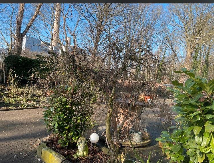 Erdgeschoßwohnung Voerde (Niederrhein) - 2.5 Zimmer, 65 m&sup2;, 950&euro; | Angebot:25264837