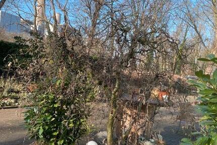 Wohnung Voerde (Niederrhein) - 2.5 Zimmer, 65 m&sup2;, 950&euro; | Angebot:25264837