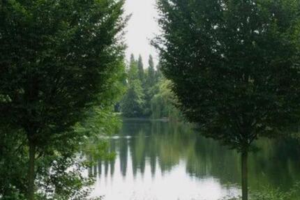 Wohnung Duisburg Duisburg-Mitte - 3 Zimmer, 69 m&sup2;, 167.000&euro; | Angebot:24853932