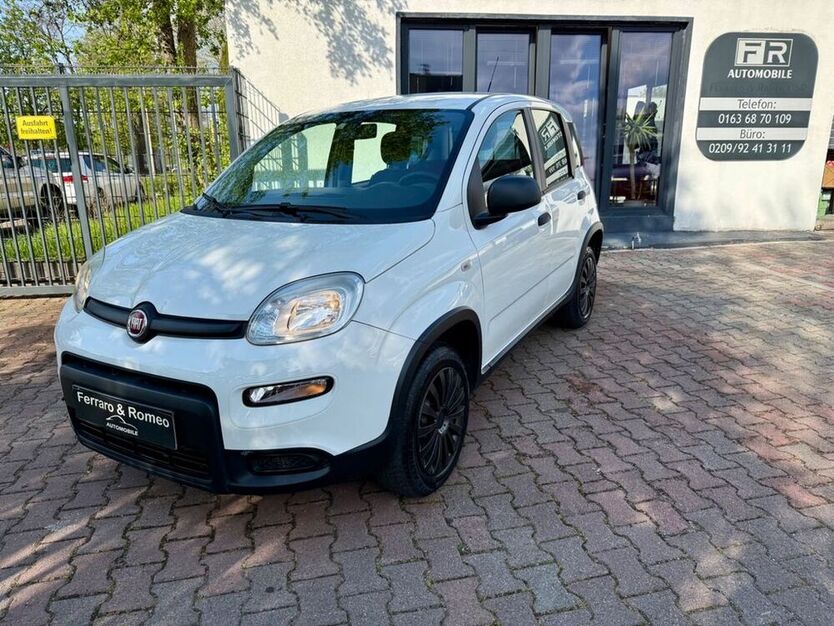 Panda