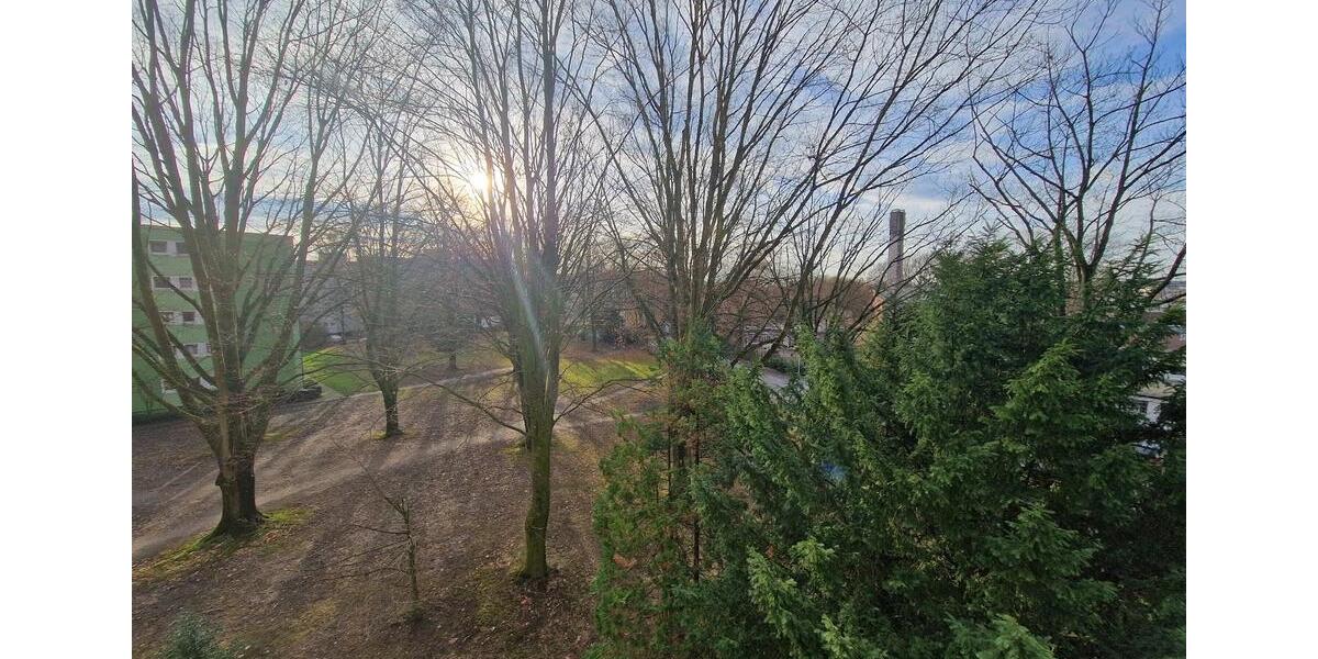 Helle, frisch renovierte 3-Zimmer-Wohnung 3 zimmer