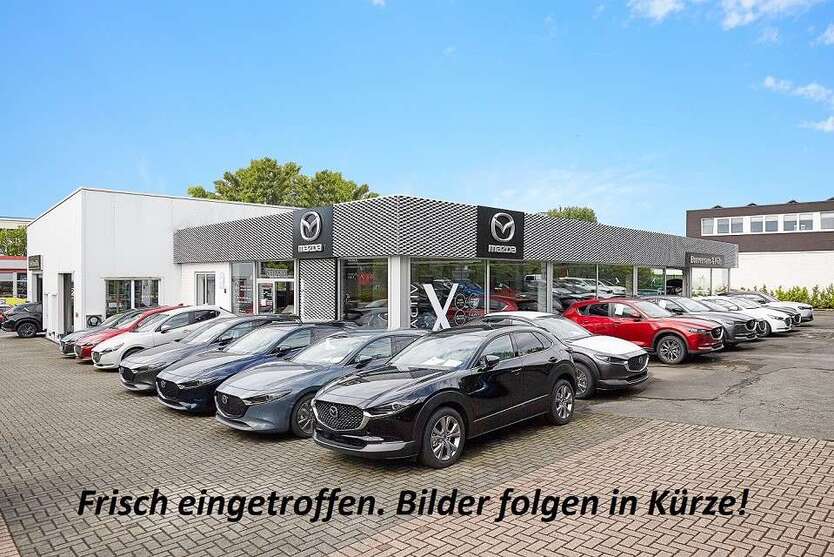 CX-9