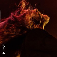 Diary Of Dreams - Live 2025 14.11.2025 Musikzentrum Hannover