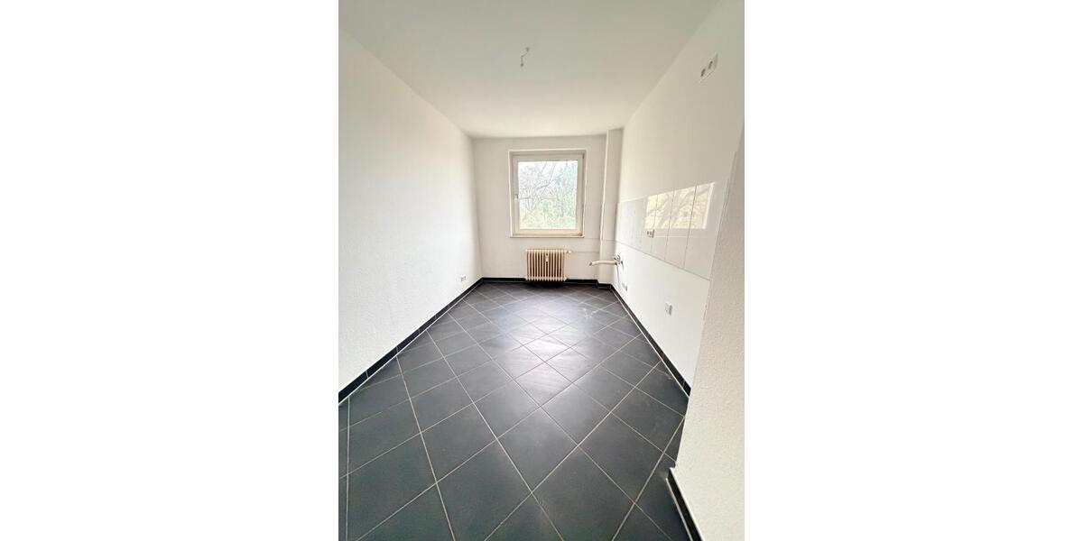 Wohnung mit Weitblick: helle 2,5 Zimmerwohnung direkt am Bulmker Park frei 2 zimmer