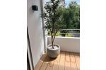 Etagenwohnung Düsseldorf Stadtbezirk 5 - 1 Zimmer, 40 m&sup2;, 269.000&euro; | Angebot:26940699